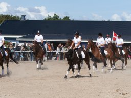 IMG_7731_web
